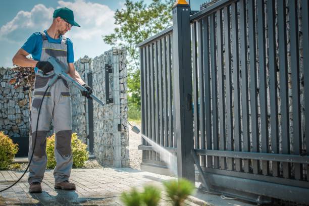 Best Roof Cleaning and Mildew Removal in Elm City, NC