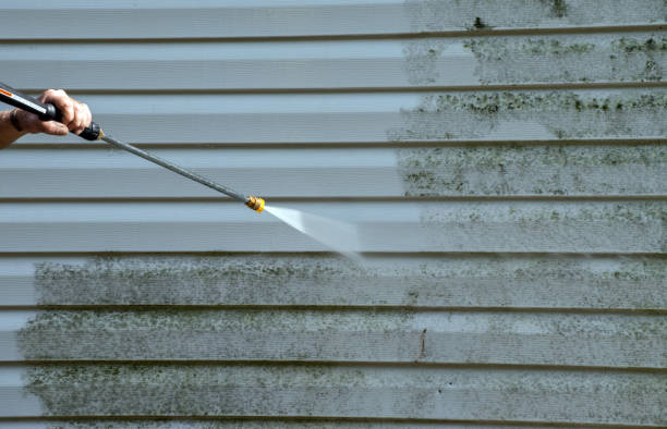 Best Window and Screen Pressure Cleaning in Elm City, NC