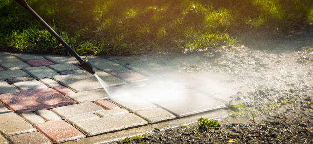Best Vinyl Siding Pressure Washing in Elm City, NC